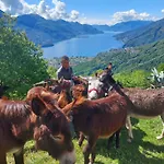 Zertin Farm stay