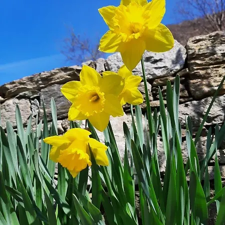Alloggio per agriturismo Zertin Gravedona