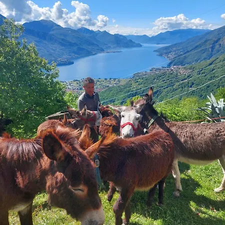Zertin Vakantieboerderij