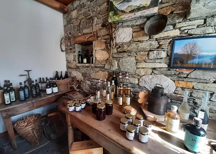 Zertin Vakantieboerderij