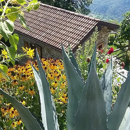 Farmház Zertin Gravedona