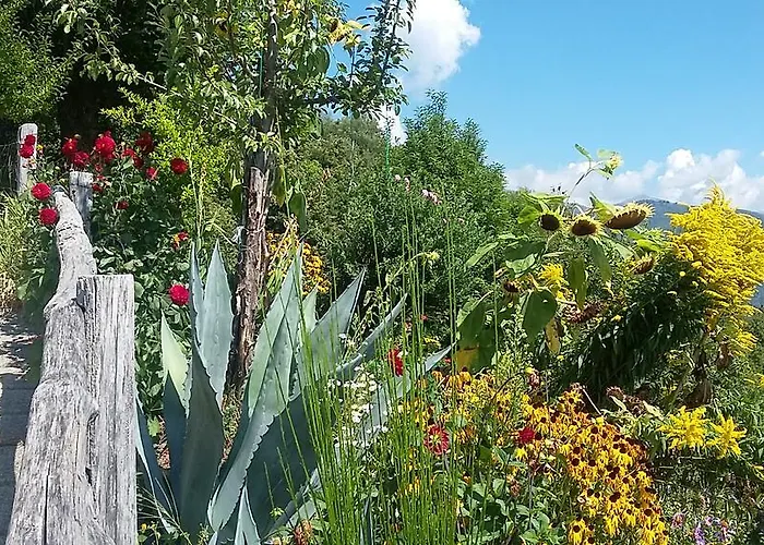 Zertin Κατάλυμα σε φάρμα *