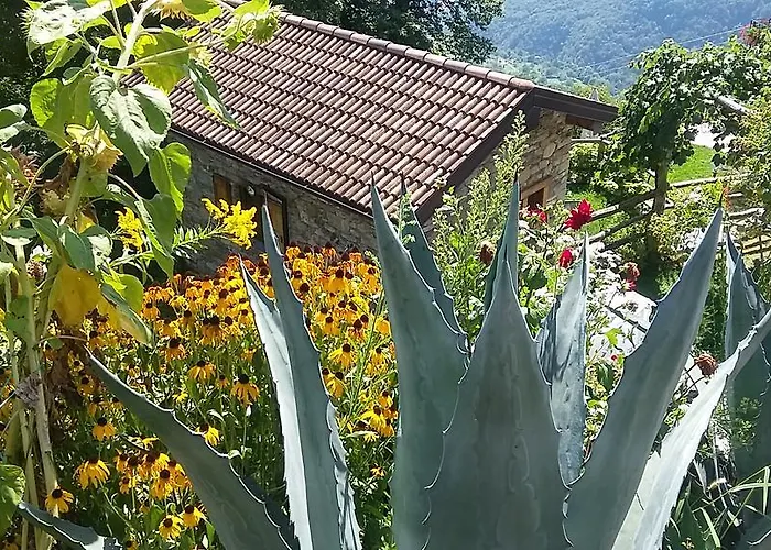 Κατάλυμα σε φάρμα Zertin Gravedona